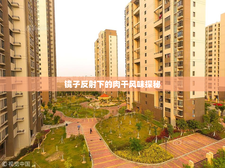 镜子反射下的肉干风味探秘
