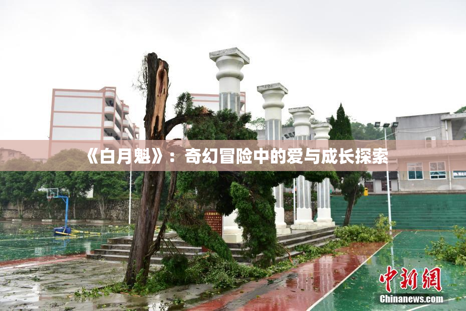 《白月魁》：奇幻冒险中的爱与成长探索