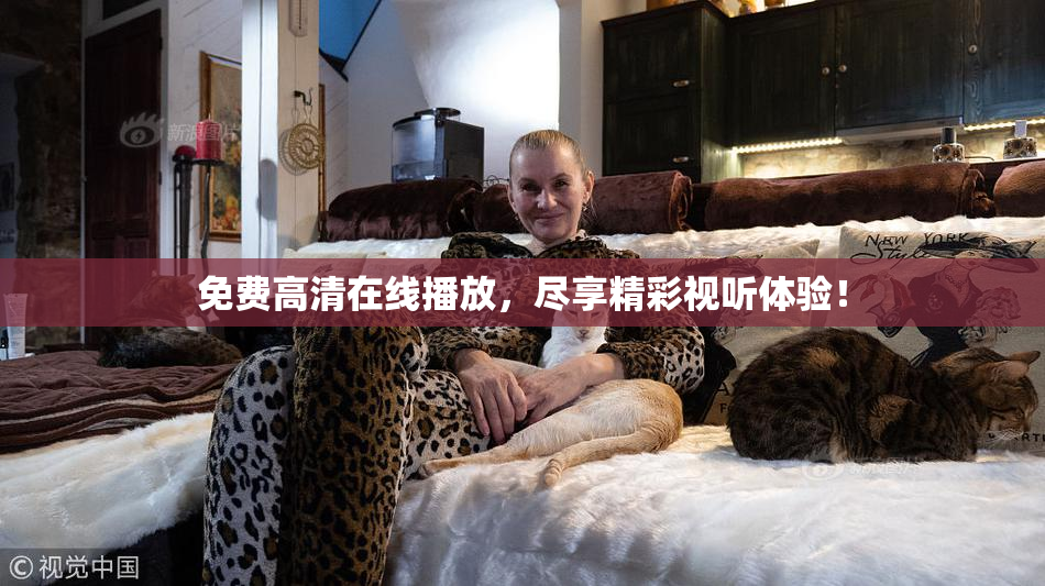 免费高清在线播放，尽享精彩视听体验！