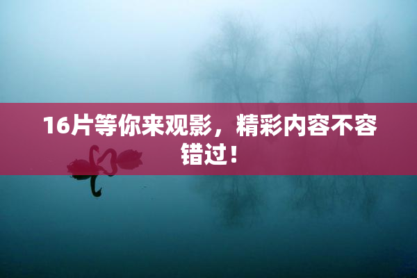 16片等你来观影，精彩内容不容错过！