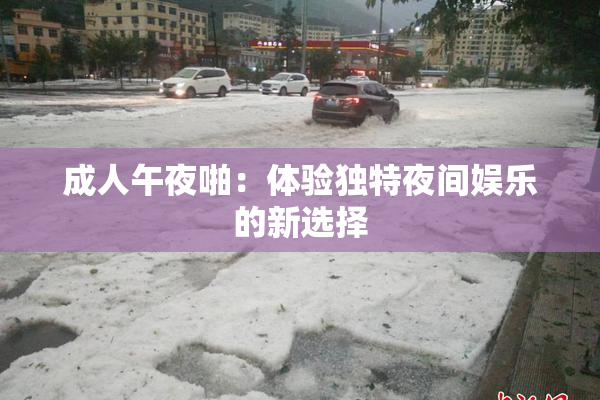 成人午夜啪：体验独特夜间娱乐的新选择