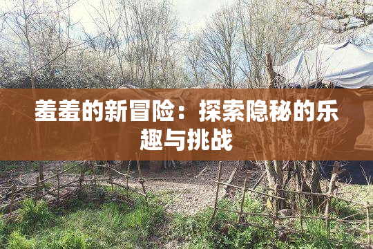 羞羞的新冒险：探索隐秘的乐趣与挑战