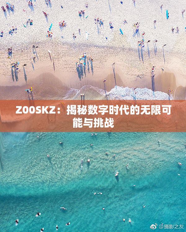 Z00SKZ：揭秘数字时代的无限可能与挑战