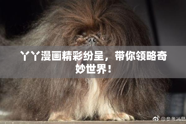 丫丫漫画精彩纷呈，带你领略奇妙世界！