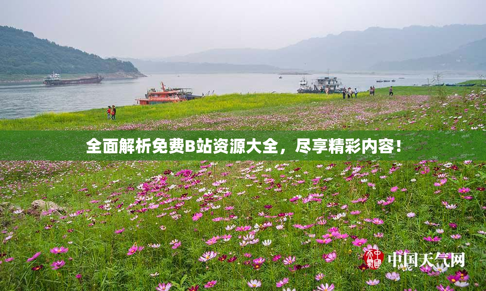 全面解析免费B站资源大全，尽享精彩内容！