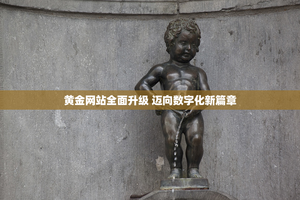 黄金网站全面升级 迈向数字化新篇章