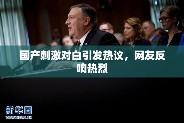 国产刺激对白引发热议，网友反响热烈