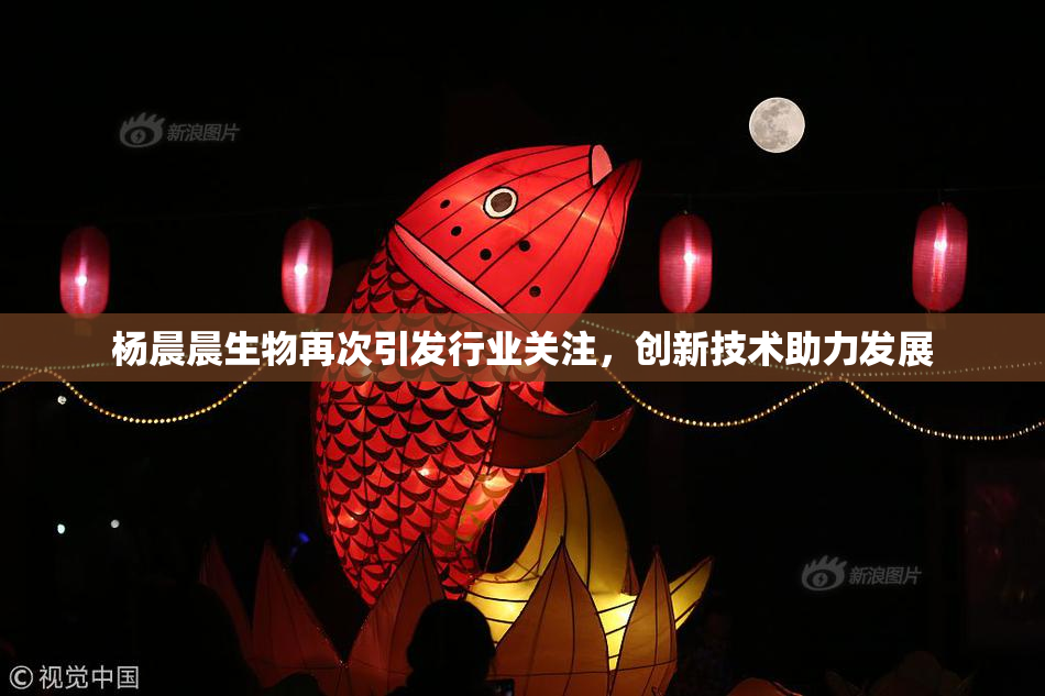 杨晨晨生物再次引发行业关注，创新技术助力发展