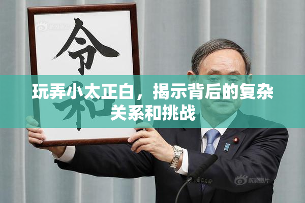玩弄小太正白，揭示背后的复杂关系和挑战