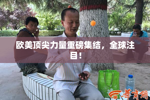 欧美顶尖力量重磅集结，全球注目！