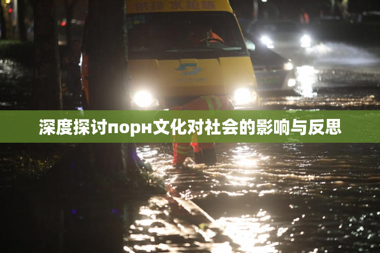 深度探讨порн文化对社会的影响与反思