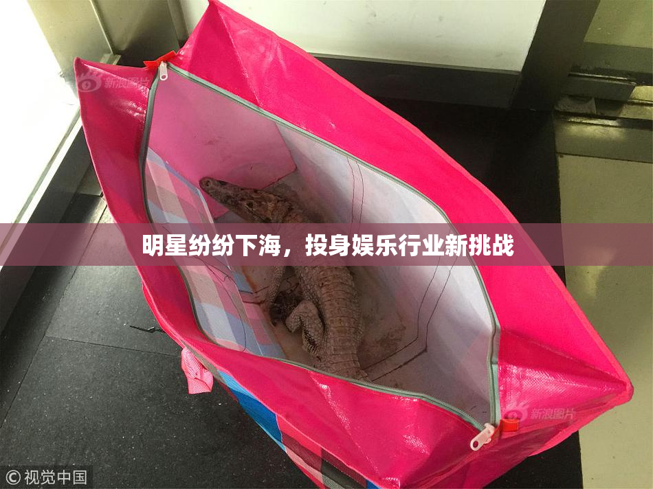 明星纷纷下海，投身娱乐行业新挑战