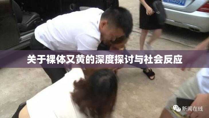 关于裸体又黄的深度探讨与社会反应