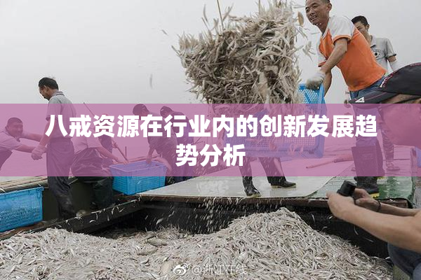 八戒资源在行业内的创新发展趋势分析