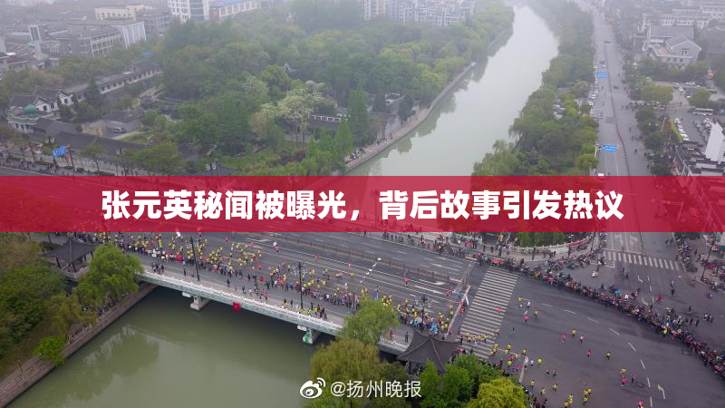 张元英秘闻被曝光，背后故事引发热议