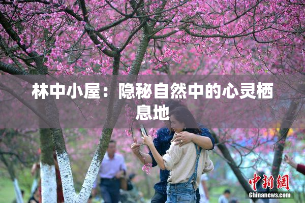 林中小屋：隐秘自然中的心灵栖息地