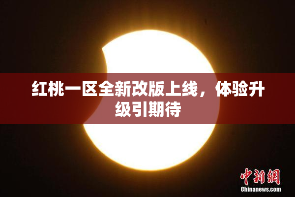 红桃一区全新改版上线，体验升级引期待