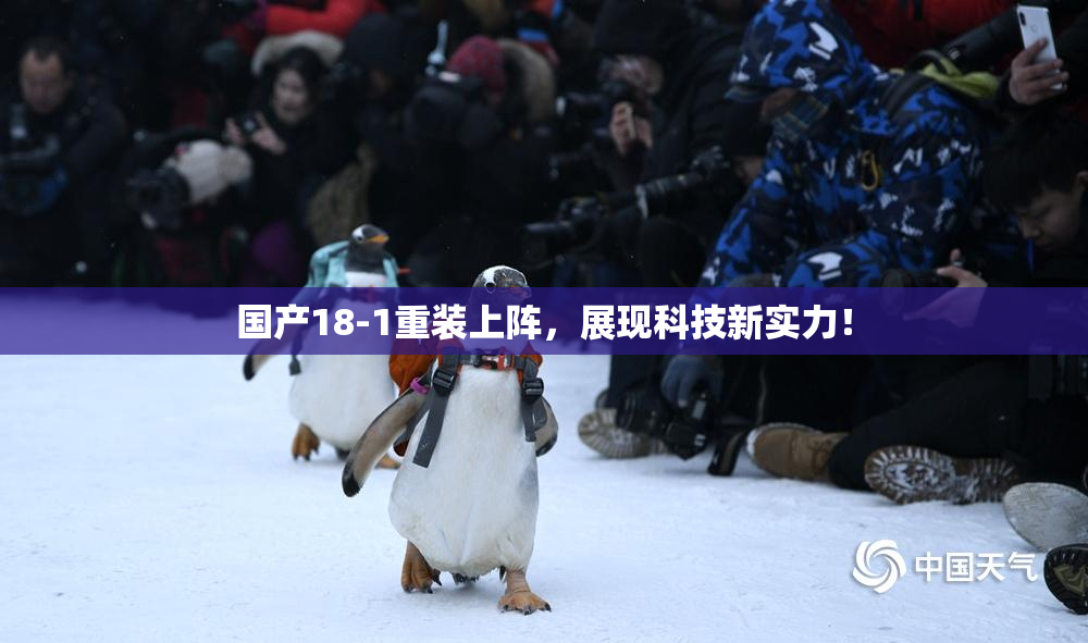 国产18-1重装上阵，展现科技新实力！