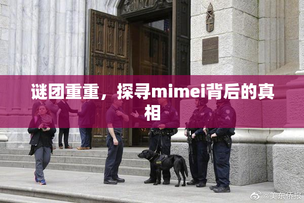 谜团重重，探寻mimei背后的真相