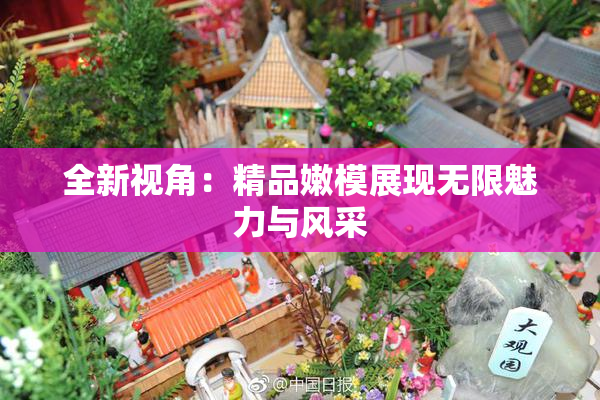 全新视角：精品嫩模展现无限魅力与风采