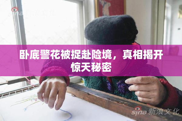 卧底警花被捉赴险境，真相揭开惊天秘密