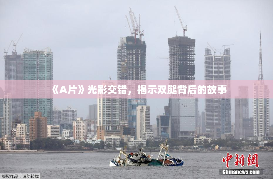 《A片》光影交错，揭示双腿背后的故事