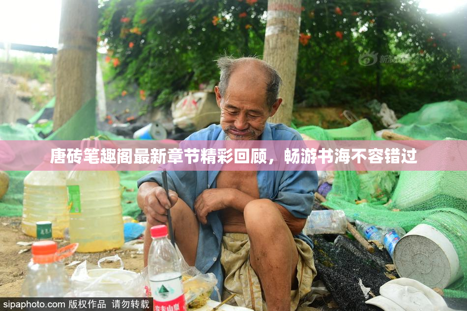 唐砖笔趣阁最新章节精彩回顾，畅游书海不容错过