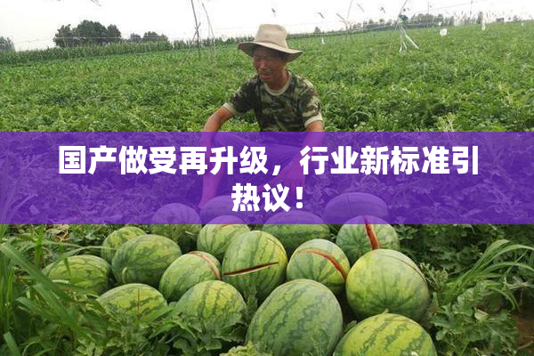 国产做受再升级，行业新标准引热议！