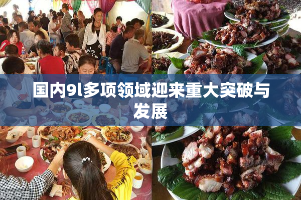 国内9l多项领域迎来重大突破与发展
