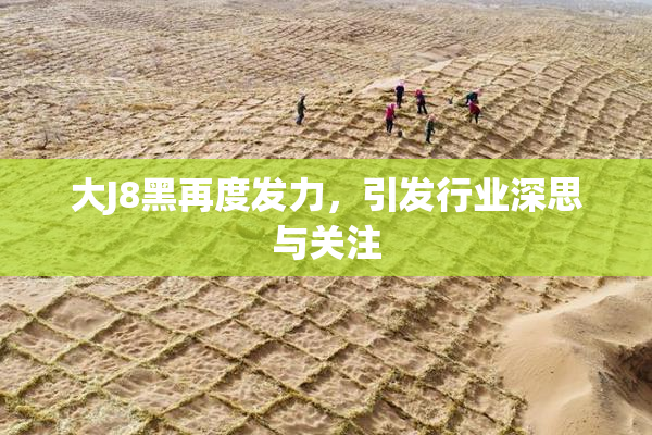 大J8黑再度发力，引发行业深思与关注