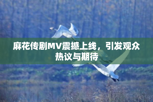 麻花传剧MV震撼上线，引发观众热议与期待