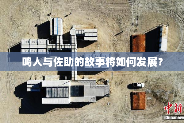 鸣人与佐助的故事将如何发展？