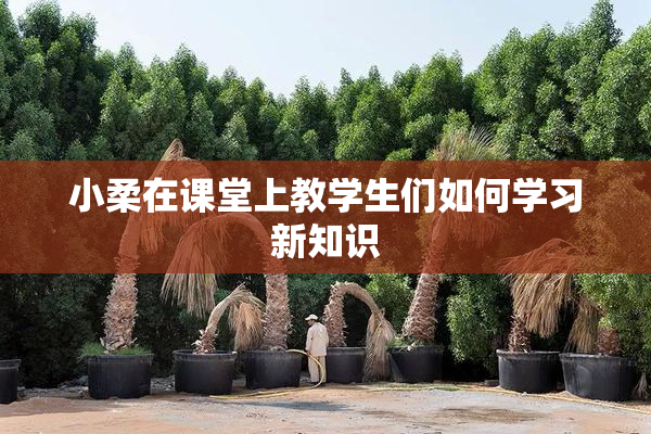 小柔在课堂上教学生们如何学习新知识