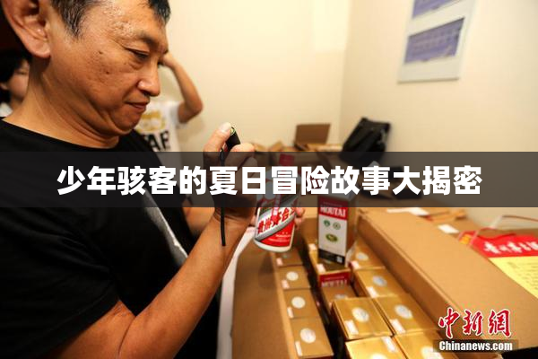 少年骇客的夏日冒险故事大揭密