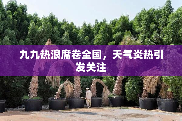 九九热浪席卷全国，天气炎热引发关注