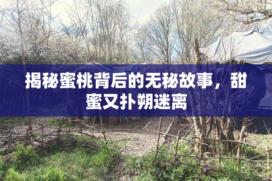 揭秘蜜桃背后的无秘故事，甜蜜又扑朔迷离