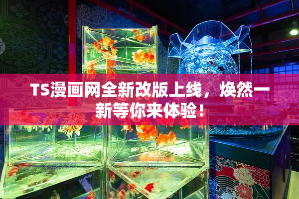 TS漫画网全新改版上线，焕然一新等你来体验！