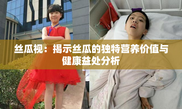 丝瓜视：揭示丝瓜的独特营养价值与健康益处分析