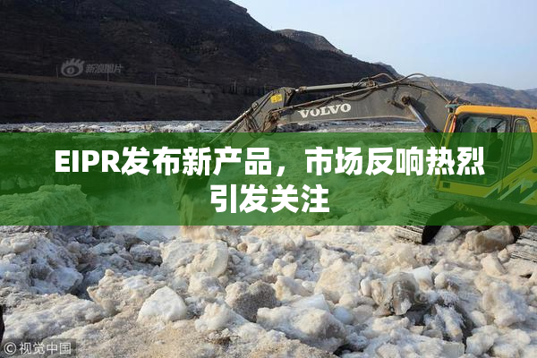 EIPR发布新产品，市场反响热烈引发关注