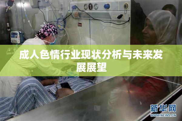 成人色情行业现状分析与未来发展展望