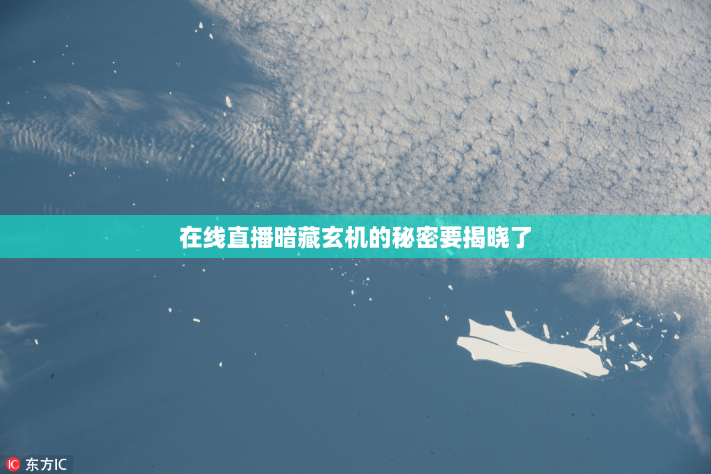 在线直播暗藏玄机的秘密要揭晓了