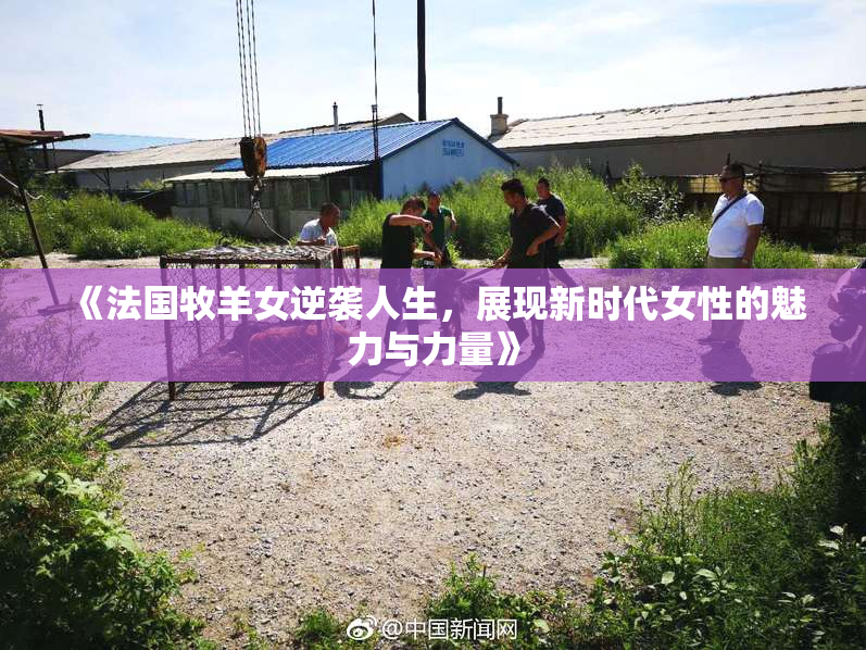 《法国牧羊女逆袭人生，展现新时代女性的魅力与力量》