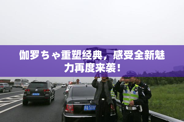 伽罗ちゃ重塑经典，感受全新魅力再度来袭！