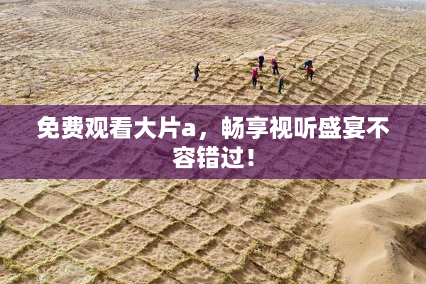 免费观看大片a，畅享视听盛宴不容错过！