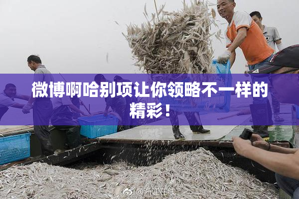 微博啊哈别项让你领略不一样的精彩！