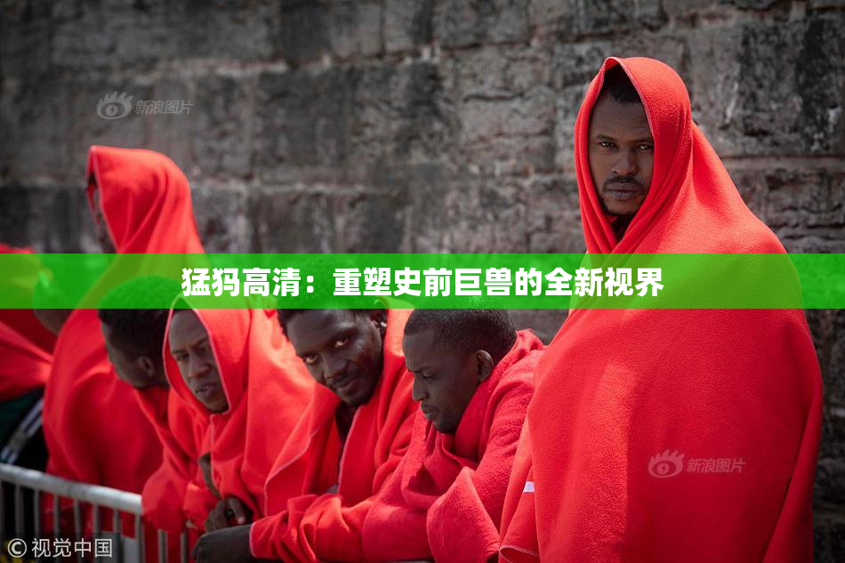 猛犸高清：重塑史前巨兽的全新视界