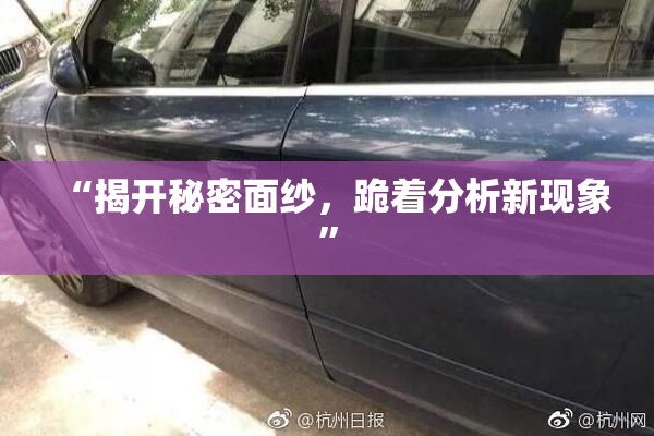 “揭开秘密面纱，跪着分析新现象”