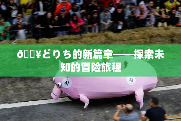 🔥どりち的新篇章——探索未知的冒险旅程