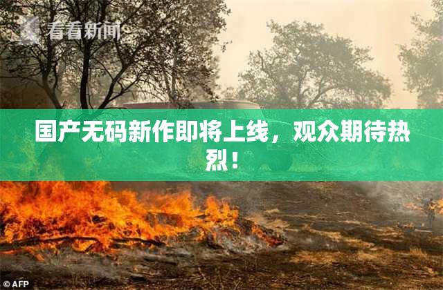 国产无码新作即将上线，观众期待热烈！