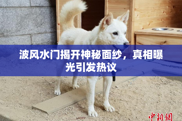 波风水门揭开神秘面纱，真相曝光引发热议